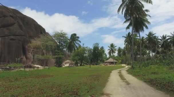 Caminhando pelas palmeiras na ilha exótica, La Digue, Seychelles 5 — Vídeo de Stock