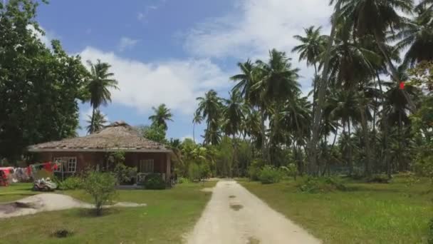 Palmiye ağaçları ve egzotik adada, La Digue, Seyşeller 3 küçük Hut görünümü — Stok video