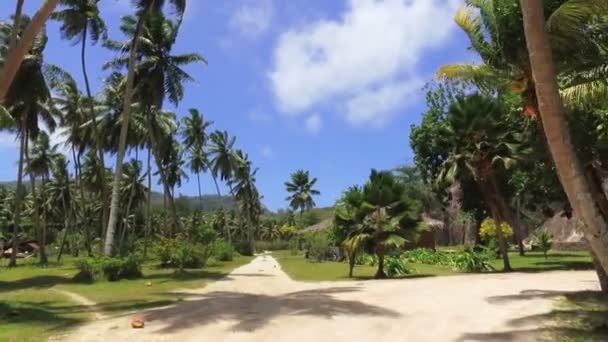 Uitzicht op de palmbomen en kleine Hut op het exotische eiland La Digue, Seychellen — Stockvideo