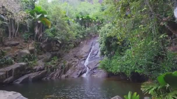 フォレストは マヘ島 セーシェルの小さな滝のビュー — ストック動画