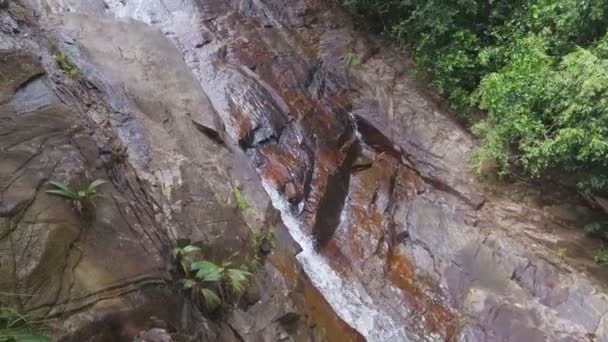 Vista Una Pequeña Cascada Bosque Isla Mahe Seychelles — Vídeo de stock