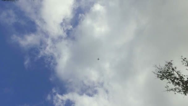 Drone Survolant Plage Seychelles — Video
