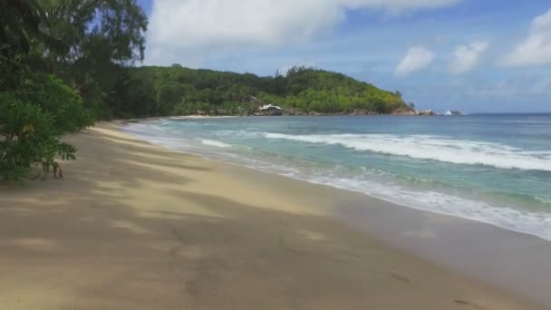 Caminando Playa Takamaka Isla Mahe Seychelles — Vídeo de stock