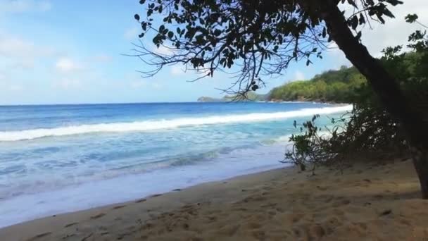 Filmagem Oceano Índico Praia Takamaka Ilha Mahe Seychelles — Vídeo de Stock