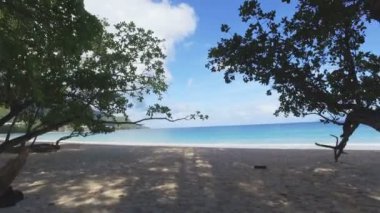Ağaçların arasından yürüme Beau Vallon Plajı, Mahe, Seyşel Adaları