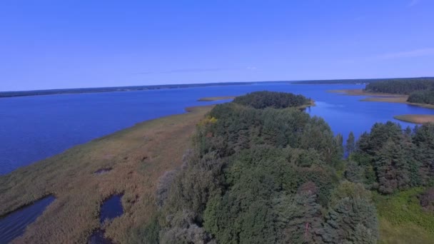 Seliger 湖、ロシアの Klichen 島の森の空中風景 — ストック動画