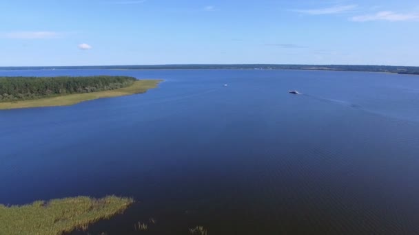Вид с воздуха на камыш на маленьком острове на озере Селигер, Россия — стоковое видео