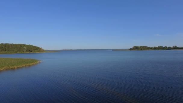 Widok Lotu Ptaka Powierzchni Wody Reeds Lasu Pięknego Jeziora Seliger — Wideo stockowe