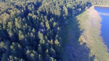 Seliger Gölü üzerindeki adada orman ve Reeds havadan görünümü, Rusya
