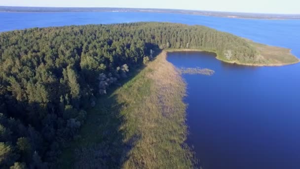 호수 셀 리 거, 러시아 1에 섬의 백 수, 숲과 갈 대의 공중 보기 — 비디오