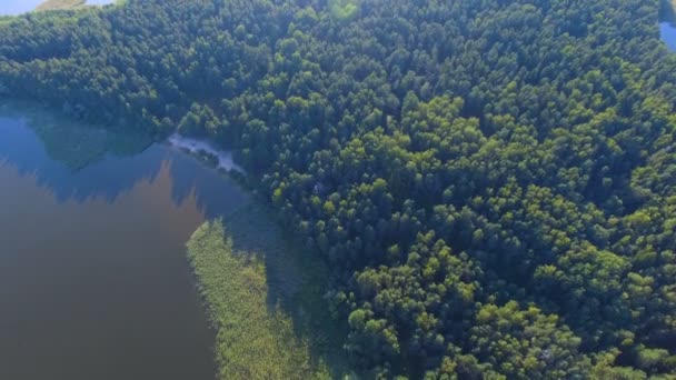 Seliger 湖の島の背水、森、葦の空中ビュー, ロシア1 — ストック動画