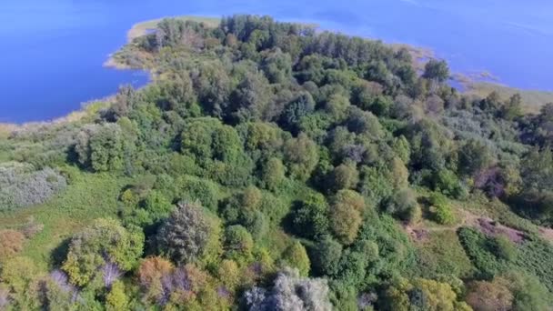 Seliger 湖の小さな島の木々や葦の上を飛んでドローンショット ロシア — ストック動画