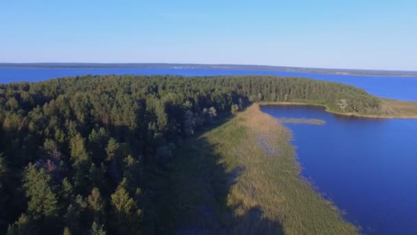 Uçan Aşağı Içinde Backwater Üzerinde Ada Üzerinde Göl Seliger Rusya — Stok video