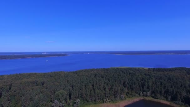 Εναέρια Θέα Του Δάσους Στο Νησί Στη Λίμνη Σέλιγκερ Ρωσία — Αρχείο Βίντεο