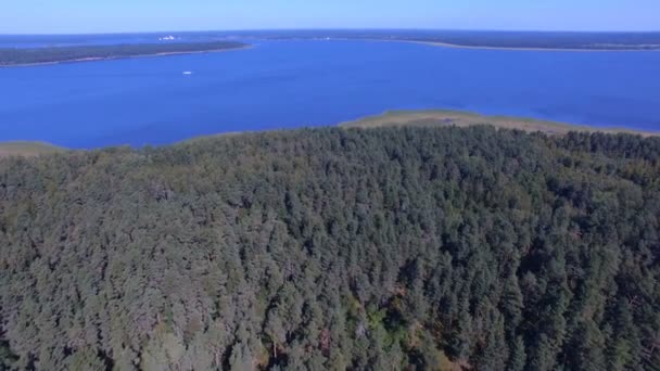 Εναέρια Θέα Του Δάσους Νησί Και Πλοία Στη Λίμνη Σέλιγκερ — Αρχείο Βίντεο