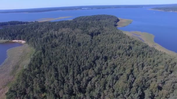 Vzdušné Panorama Lesa Ostrově Jezera Seliger Rusko — Stock video