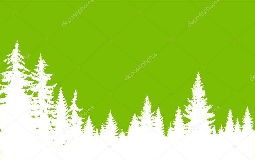 Horizontal banner of coniferous wood in green and white tones. 