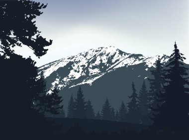 Dağları Panoraması. Dağları kar ve gri gökyüzü arka plan üzerinde iğne yapraklı ağaçlar ile silüeti. 