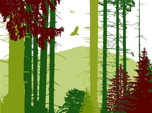 Görüntü manzara. Eko afiş. Soyut sesleri.