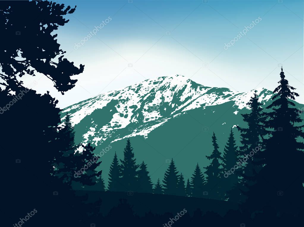  Panorama of mountains. Silhouette of mountains with snow and coniferous trees on the background of colorful sky. Green and blue tones. Can be used as banner of mineral water. 