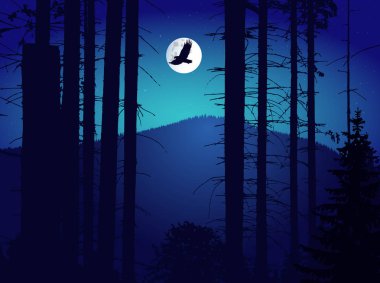 Görüntü manzara. Eko afiş. İyi geceler. Moonlights.