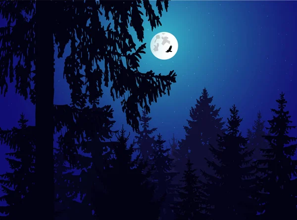 Image Landscape Eco Banner Night Moonlights — Stock Vector