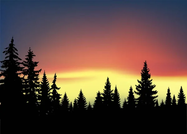 Siluet Pohon Konifer Latar Belakang Langit Berwarna Warni Aurora - Stok Vektor