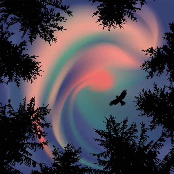 Silueta Árboles Coníferas Fondo Del Cielo Colorido Aurora Puesta Sol — Archivo Imágenes Vectoriales