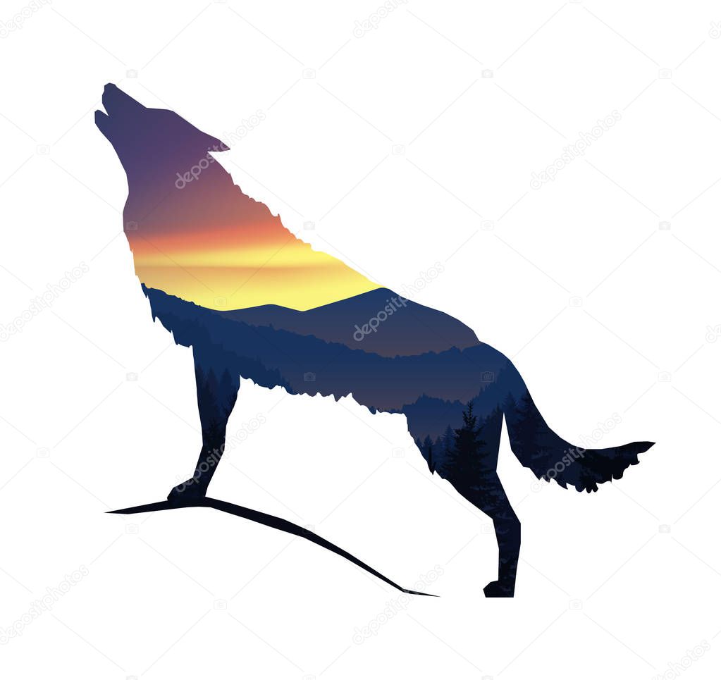 Silhouette of howling wolf with panorama of mountains. Valley(canyon).  Evening. Aurora.