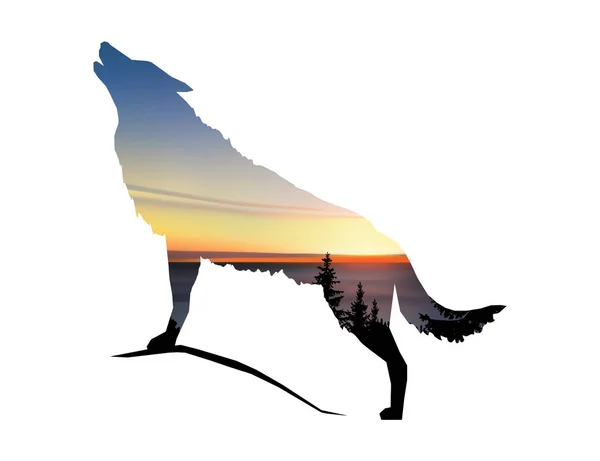 Silhouette Howling Wolf Coniferous Trees Sea Horizon Colorful Sky — Stock Photo, Image