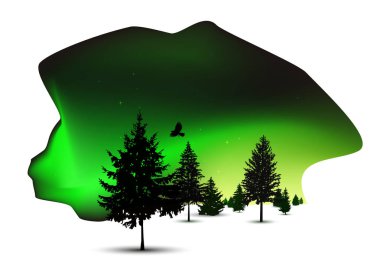 Çam ağaçlarının Silhouettes. 3D konumu. Gece gökyüzü lekesi. Kuzey ışıkları. Yeşil tonları.