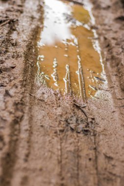 Çamurlu zemindeki lastik izleri.