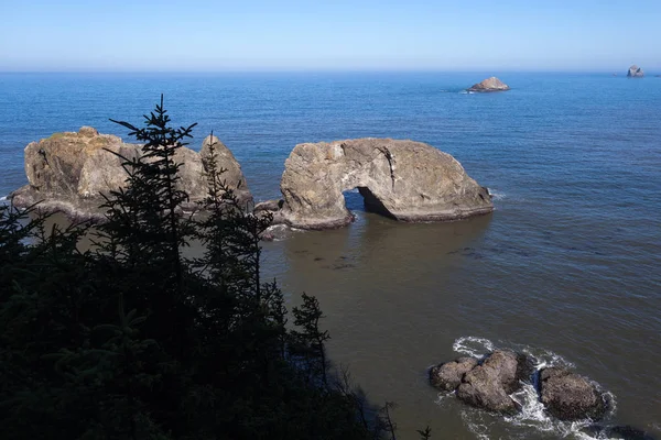 Arch Rock Längs Oregon Coast Oregon Brookings Arch Rock Sommar — Stockfoto