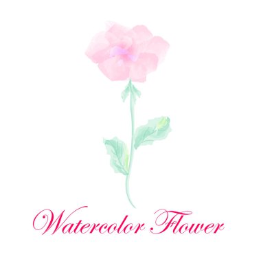 vektör suluboya çiçek.