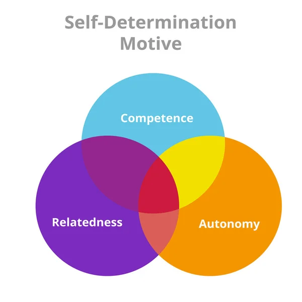 Autodeterminación Motivo Competencia Autonomía Relación Círculo Diagrama de intersección con estilo plano . — Vector de stock