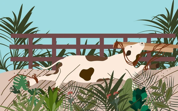 Krowa leżąca wokół została ubite nogi związane liny z płaskim stylu kreskówki. — Wektor stockowy