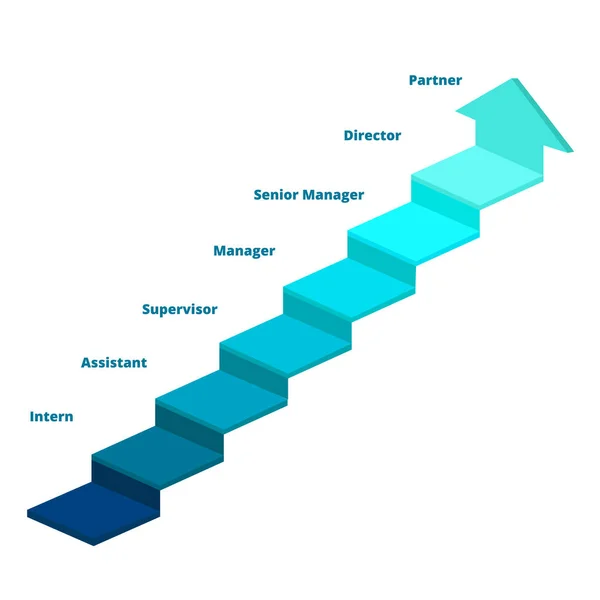 Carrera paso diagrama infografía escalera pasante asistente supervisor gerente senior director socio blanco aislado fondo con estilo de color plano — Vector de stock
