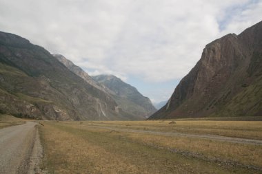 Yaz Chulyshman Vadisi'nde