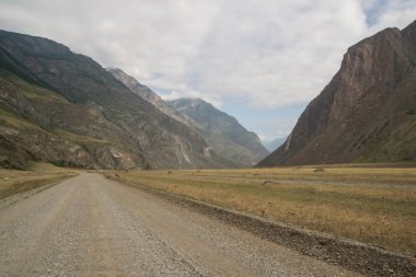 Yaz Chulyshman Vadisi'nde