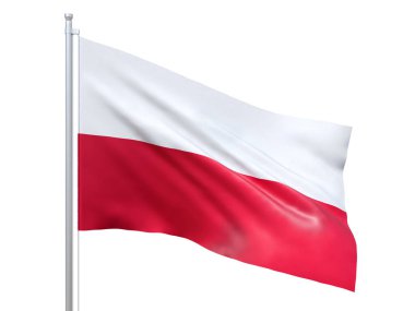 Polonya bayrağı beyaz arka planda dalgalanıyor, yakın çekim, izole edilmiş. 3d hazırlayıcı
