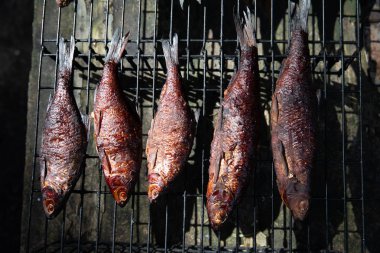 küçük sigara içen bir pişmiş balık füme