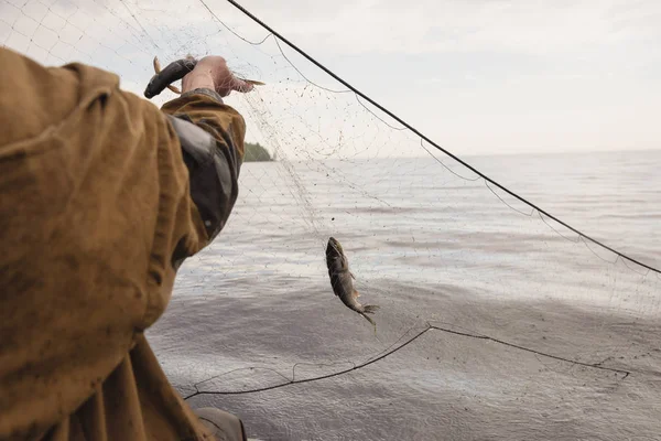 Visnetten op een boot — Stockfoto