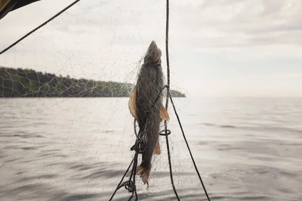 Fiskenät på en båt — Stockfoto