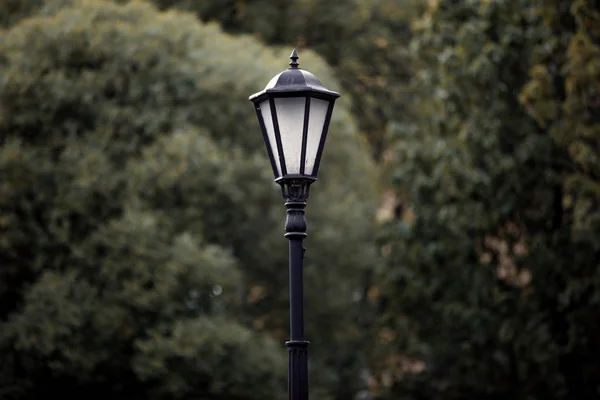 Лампа пост на фоні дерева — стокове фото