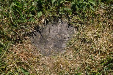 Bahçedeki taş geçit.