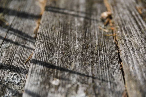 kurulların ahşap arka plan