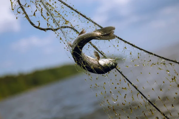 Fiskenät på en båt — Stockfoto