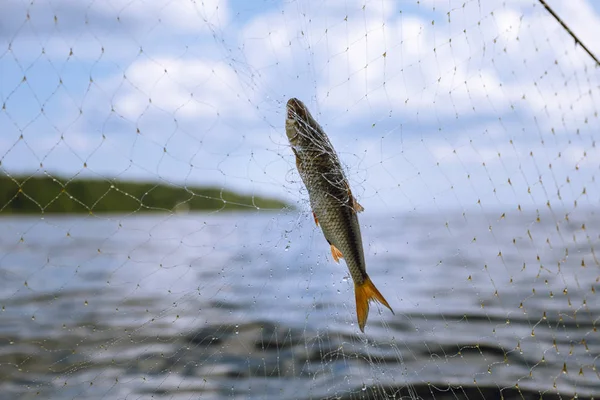 Fiskenät på en båt — Stockfoto