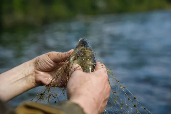 Fiskenät på en båt — Stockfoto