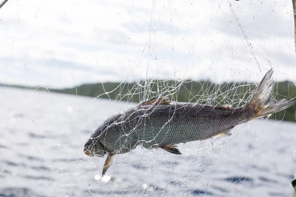 Fishing nets on a boat — Stock Photo, Image